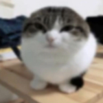 Total MPSoid Death