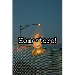 Aesthetic Homestore