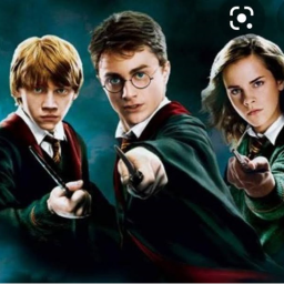 Harry potter meating room