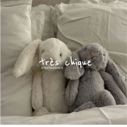 très chique homestore v2
