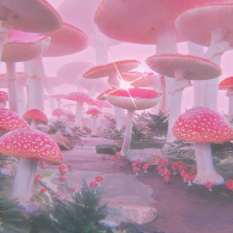 𝒷𝓎 𝓎𝑜𝓊𝓇 𝓃𝒶𝓂𝑒