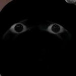 ZanicRoblox