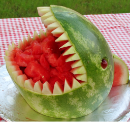 Watermelon Shark Hangout Fun