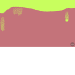 Protectorssaftey