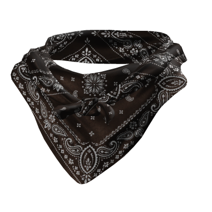 Tied Bandana Face Scarf 3.0