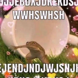 froggo wishs u a nice day