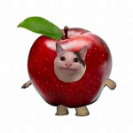Zadania domowe Nathana