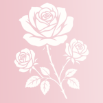 .bloomdzn