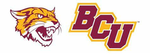 Bethune–Cookman University Wildcats