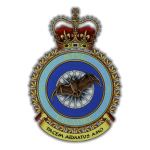 1 Wing Kingston