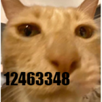 2еz