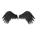 Demon Wings Black CODE: DWB10