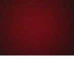 add me and give yo dizyord