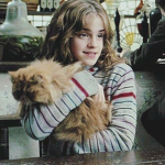 Harry Potter Fans...