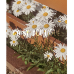 Daisyy boutique