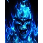 the ghosts skulls