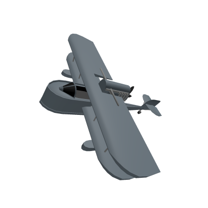 Warden Scout Plane
