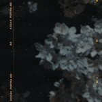 stillcryinq.. antisocial club..
