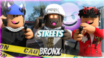 Streets Of The Bronx
