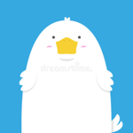 The duck duck's