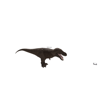 rex morhp