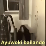 Ayuwoki bailando