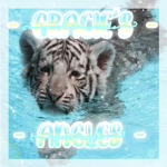 - gracie’s angles -