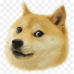 SecretDogesSpyGroup