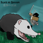 Attack on Opossums