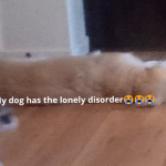 Doge/Hamster Army