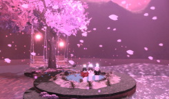 [Zawartość usunięta]