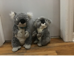 Koala are the best