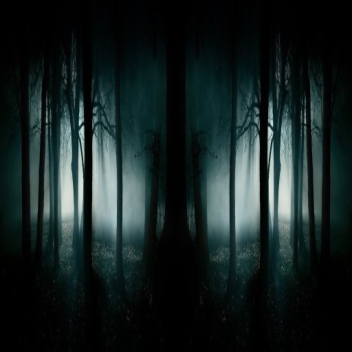 The Dark Forest