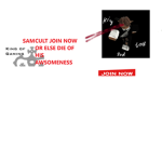 SAM CULT RULES