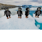 PENGUINS PLAYGROUND