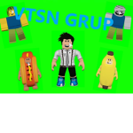 vtsn grup1