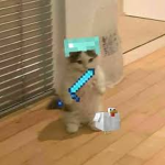 1HS FAN GROUP