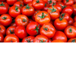 have some tomatos uWu