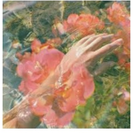angelicalls