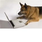 The animal lovers and the animal abuse haters  Group Thumbnail