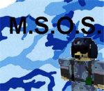 Military Special Operations Squad