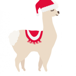 Llama noore drama
