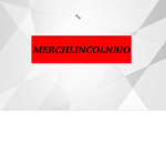 MerchLincolnBio