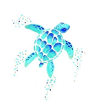 Aesthetic turtles for life