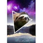 Dylan the sloth fan club