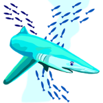 sharks of the ocean