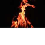 Firee studio