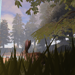 Survive The Woods