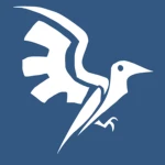 Bluebird Interactive Group Thumbnail
