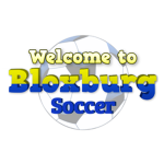 Bloxburg Soccer